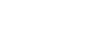 Botas Steve Madden logo